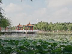 -长春市南湖公园