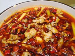 -雲蜀龙阁·金牌水煮鱼(方庄店)