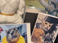 -逃脱反斗城沉浸剧情密室(北京路店)