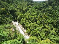-海南热带雨林国家公园吊罗山景区