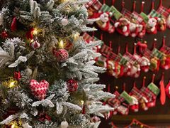 -TZ House音乐现场(来福士中心店)