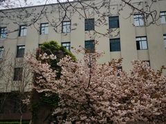 -青岛市图书馆