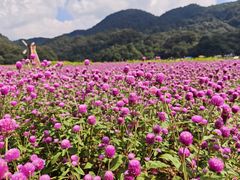 -广州市石门国家森林公园
