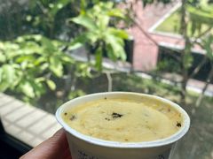 菠萝紫苏乌梅雪葩-歎雪糕低糖低脂Gelato冰淇淋