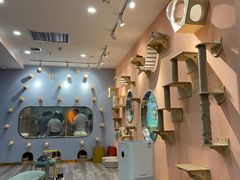 -BABIT巴比特宠物(MOMOPARK店)