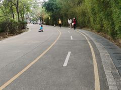 -聚龙山公园