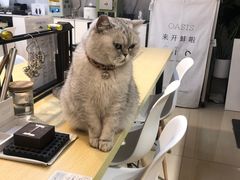 -Oasis绿洲银饰珍珠手作diy(壹方城店)