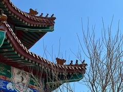 -白水寺森林公园