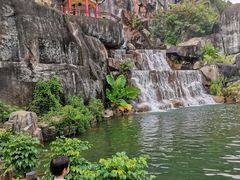 -金鸡山公园