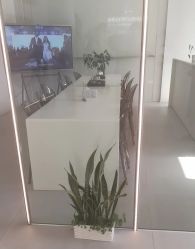 -紫琪尔·匠心连锁·胸部护理养护