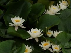 -前关湿地公园