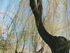 -建国公园