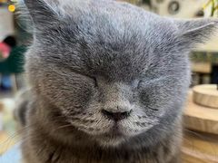 -平行世界·猫咖(首经贸店)