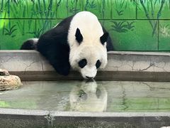 -天津市动物园