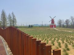 -羊亭河湿地公园