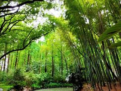 -同里国家湿地公园