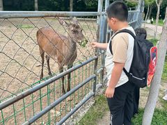 -哈尔滨北方森林动物园
