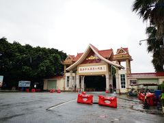 -大湾区中央湿地公园-十九涌