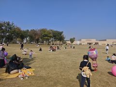 -盘龙城遗址博物院