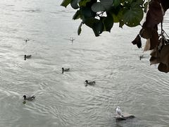 -深圳湾公园(南山区)