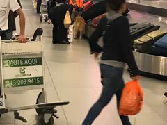 -波哥大埃尔多拉国际机场