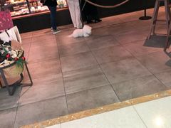 -星巴克臻选(深圳华强北茂业店)