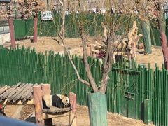 -沈阳森林动物园