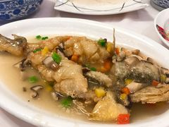 -聚春园自助餐厅(东街口店)