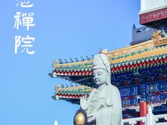 -天津大悲禅院