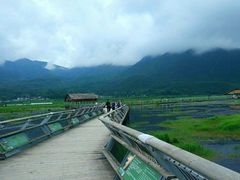 -腾冲北海湿地