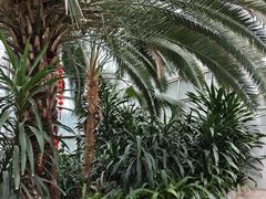 -郑州植物园