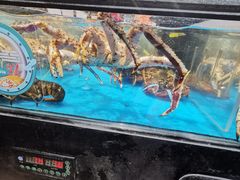-盒马鲜生(曜一城店)