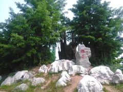 -石家庄市植物园