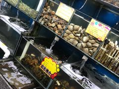水产区-蚝专家(北滘店)