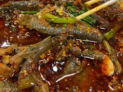 pa耙泥鳅-情妹耙泥鳅·江湖川菜(科华店)