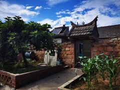 -摩天岭风景区