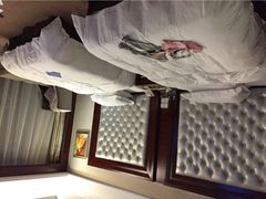 圣爵菲斯大酒店-圣爵菲斯大酒店(长沙世界之窗店)