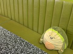 -油梨树AVOCADO TREE(顺义新国展店)