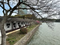 -无锡蠡湖国家湿地公园-蠡园