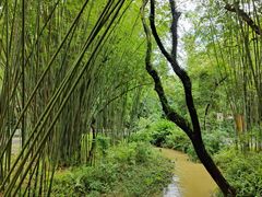 -广州市白云山风景名胜区