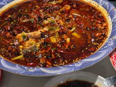 -新概念来凤鱼(璧山店)