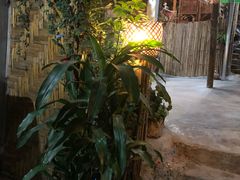 -Jungle Kitchen
