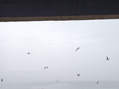 -悦海公园