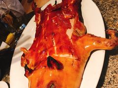 -中国城银都鱼翅酒楼
