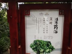 -青城道汤池