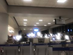 -纽瓦克自由国际机场