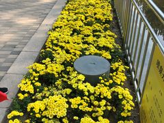 -朝阳公园游乐园