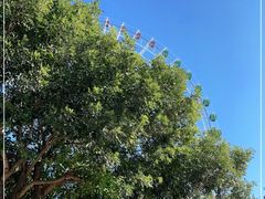 -汕头星城湾欢乐世界