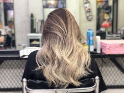 -SALON V