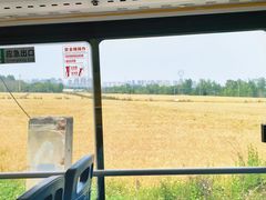 -白鹭湾湿地公园